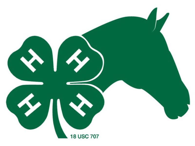 Logo for 2024 Hamlin County Horse Show