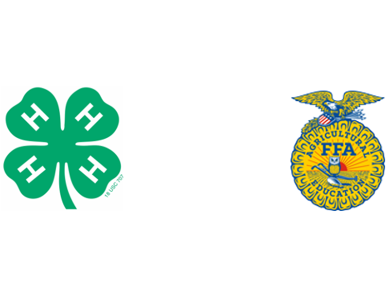 Logo for 2026 Chouteau County 4-H and FFA Fair