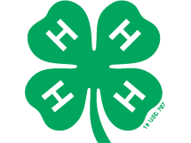Logo for 2026 Grant County 4-H Fair
